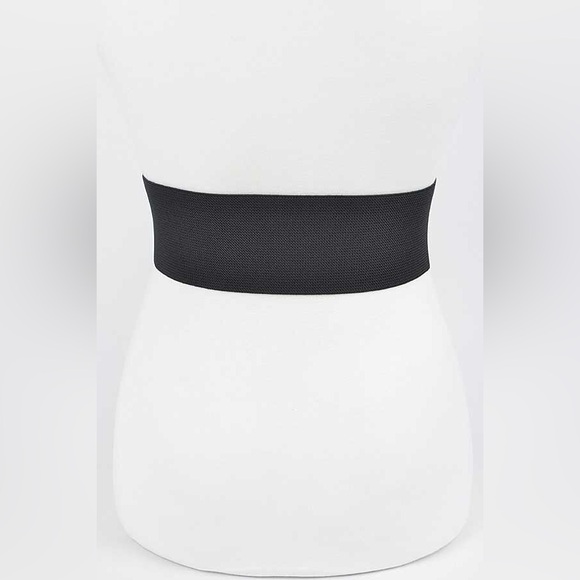 Gold Buckle Elastic Waist Statement Belt - Picture 9 of 13